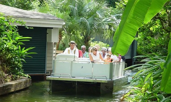 Peacocks, Presidents and Puzzles - The Winter Park Walking Tour + Boat