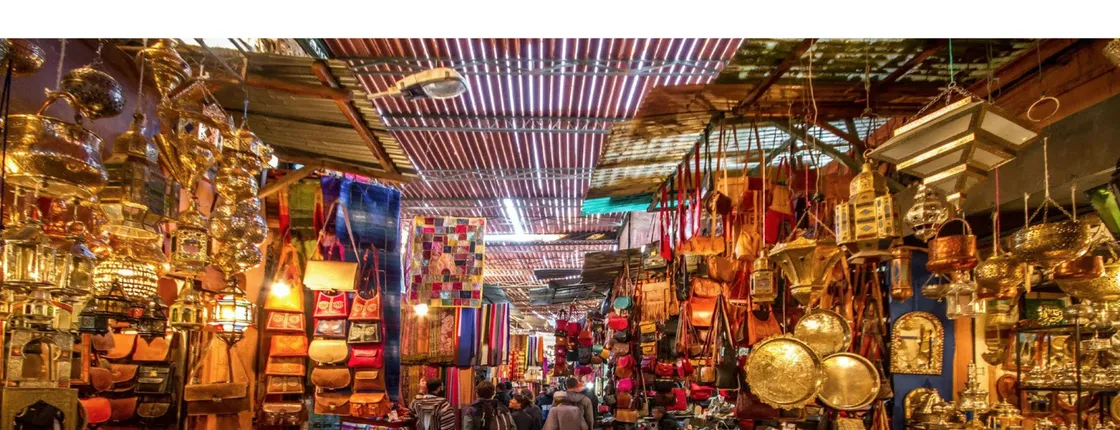 Marrakech full-day guided city highlights tour