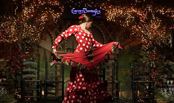Flamenco Show & Special Menu at Torres Bermejas in Madrid