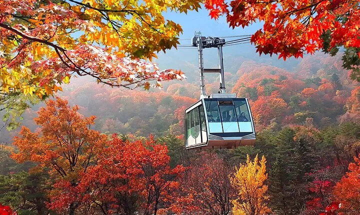 Autumn Foliage-Mt. Seorak, Sokcho Beach, Market, Observatory