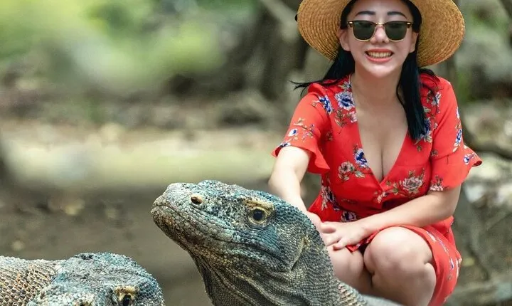 Daily Trip Highlight Komodo Archipelago by Speed Boat