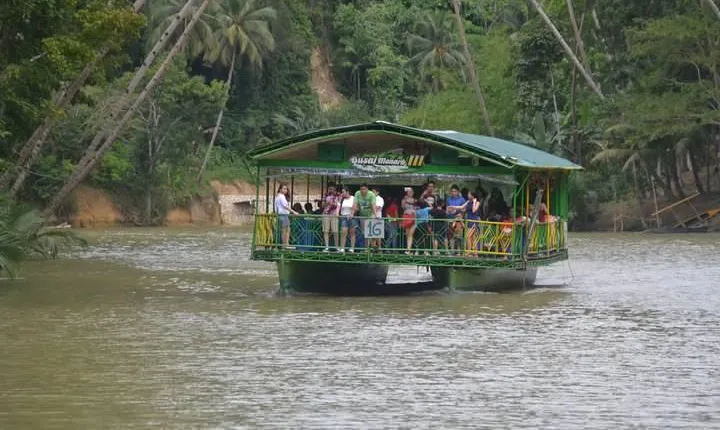 Bohol Island Countryside Tour with Buffet Lunch River Cruise (Cebu or Bohol)