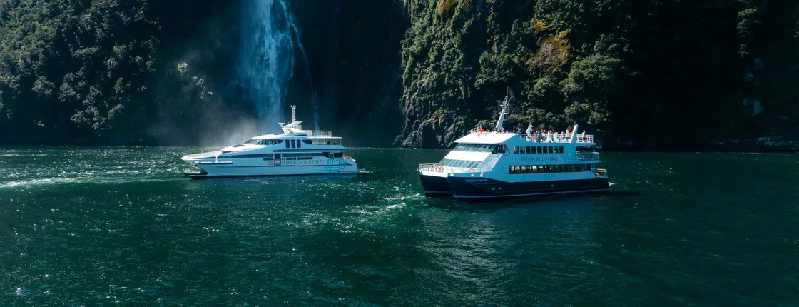 Milford Sound cruise experience