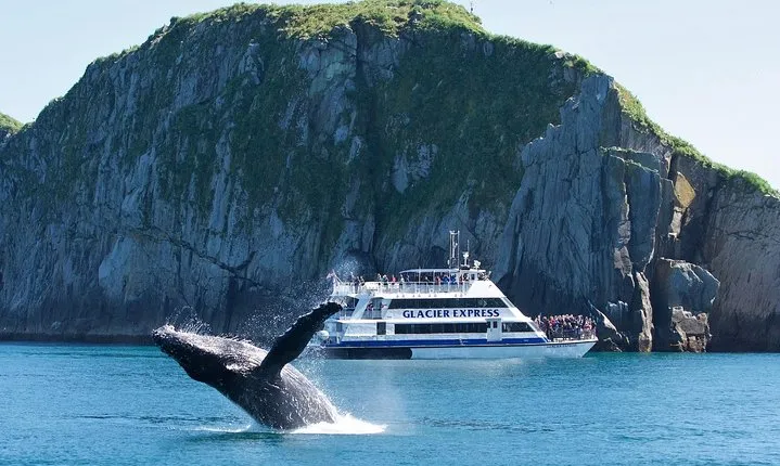 Full-Day Kenai Fjords National Park Cruise