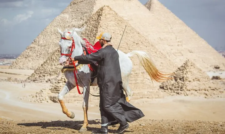 Horse or Camel Ride in Giza Pyramids