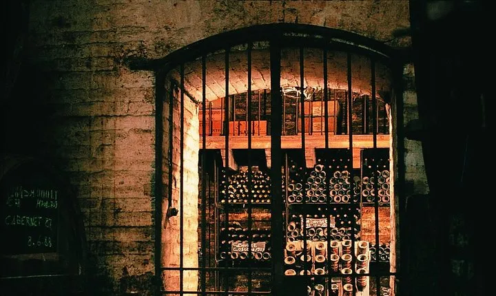 Premium Wine Tour in Viña Cousiño Macul Spanish official