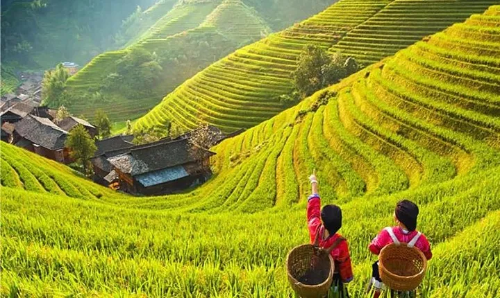 3-Day Private Tour from Chengdu by Air:Guilin, Longji Rice Terrace and Yangshuo