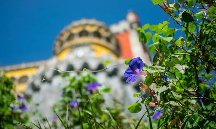 Sintra Pena Palace and Park Skip The Line Tickets