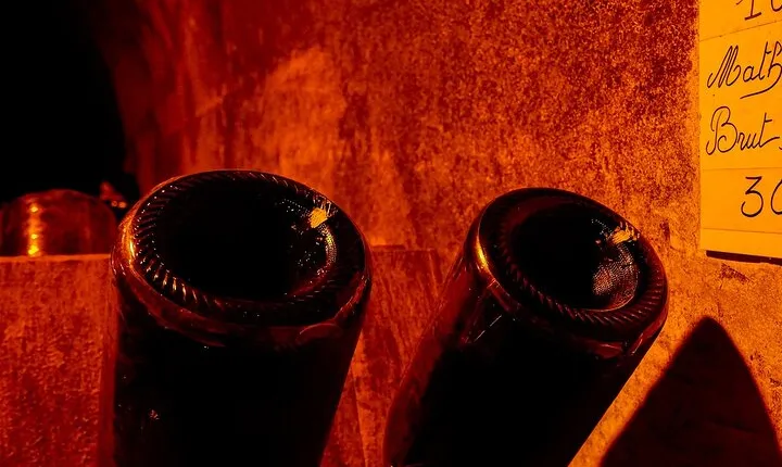 Champagne tour - Private Day trip from Paris