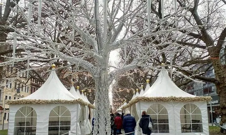 8 hours Dresden Private Christmas Market Tour from Prague