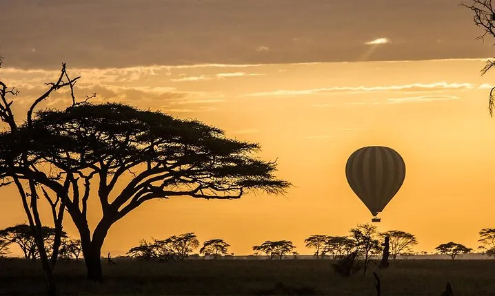 Tanzania wildlife & Cultural Safari- 11days