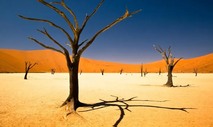 3-Day Namibia Desert Camping Tour from Windhoek
