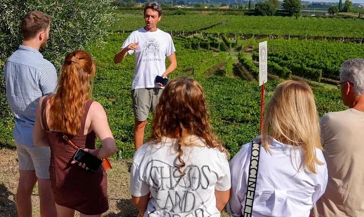 Winery Tour and Tasting of Garda Wines in Lazise