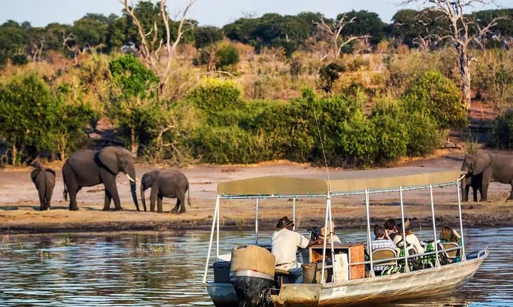 Chobe Day Trip 