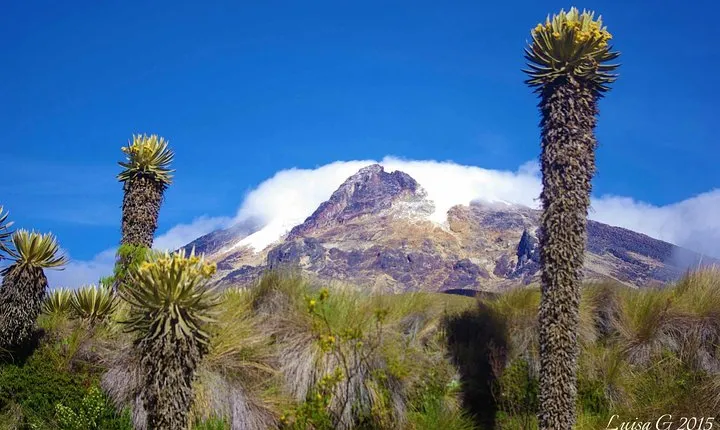 Trekking at Los Nevados National Natural Park