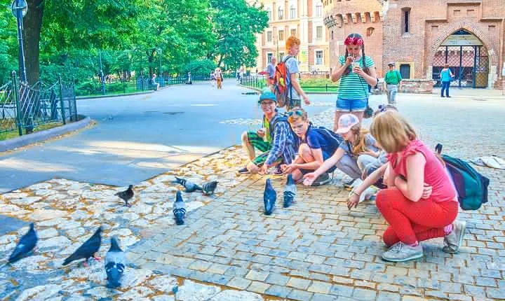 Family Tour of Krakow Old Town with Sweets Factory & Cruise