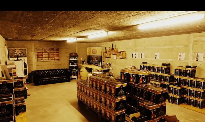 Informative wine tasting with Italian appetizers in the secure wine cellar