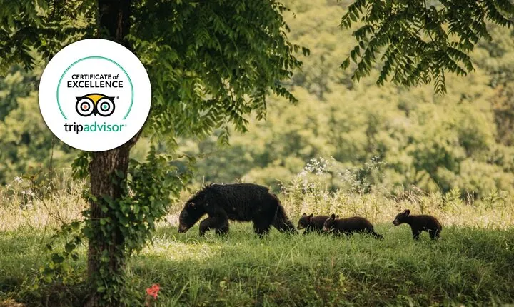 Banff Highlights & Wildlife | Award-Winning Small Group Adventure