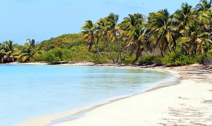 Explore Contoy Island