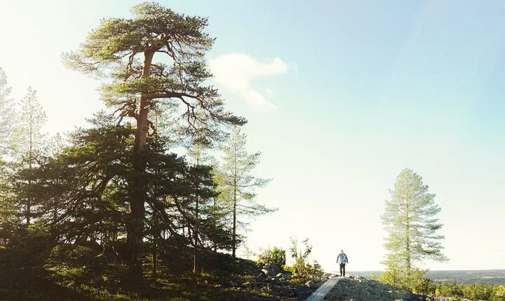 Rovaniemi: Insider Summer Hiking & Caves Tour Kätkävaara