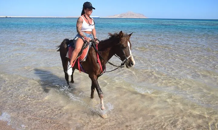 Horseback for an Hour with Transfers Included – Sharm El Sheikh