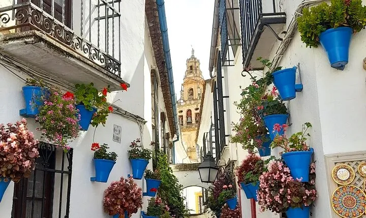 Private trip to Cordoba from Costa del Sol