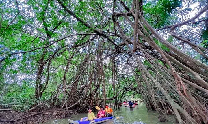 Full Day Canoe Boat Trip At Takuapa Little Amazon From Khao Lak