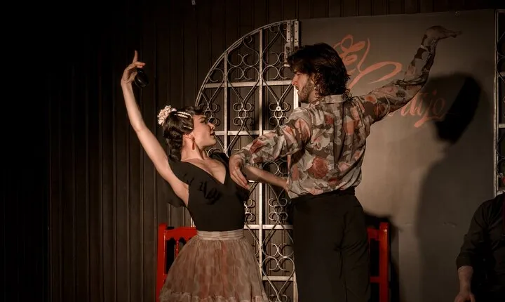 Local Flamenco Show with dinner at El Cortijo