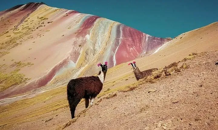 Full Day Rainbow Mountain Tour from Cusco with Hotel Transfer