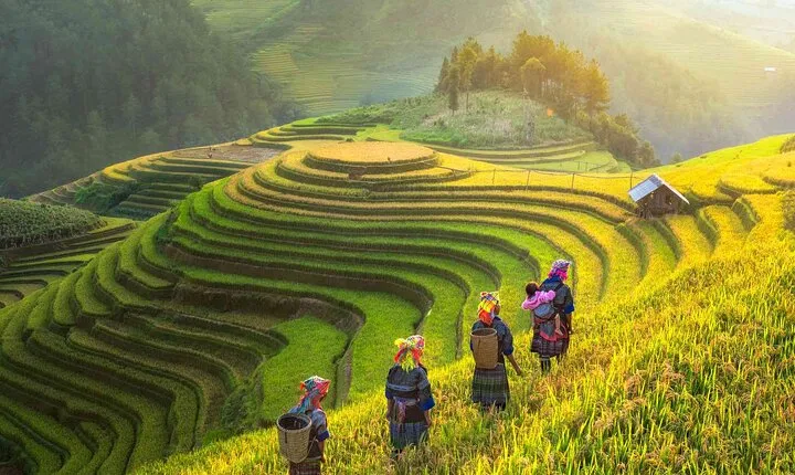 Sapa 2 Days 1 Night From Hanoi 