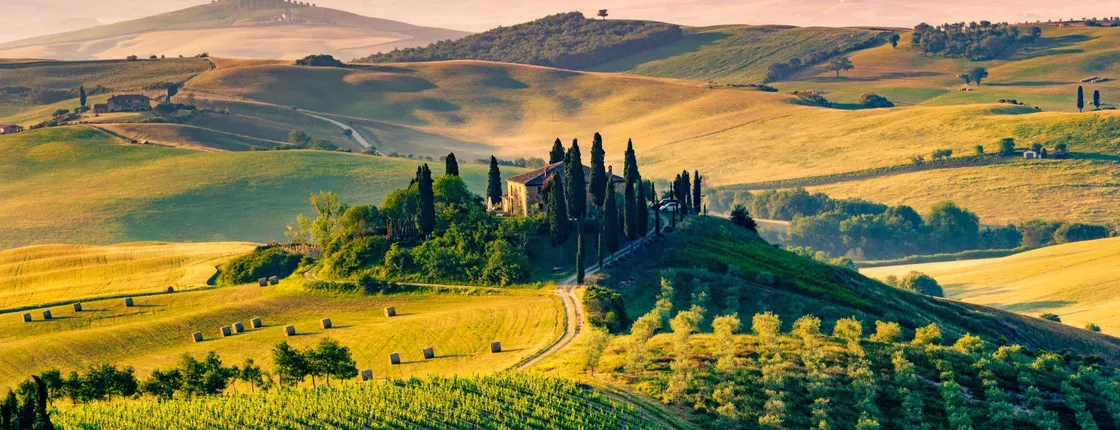 Private day trip to Val d'Orcia