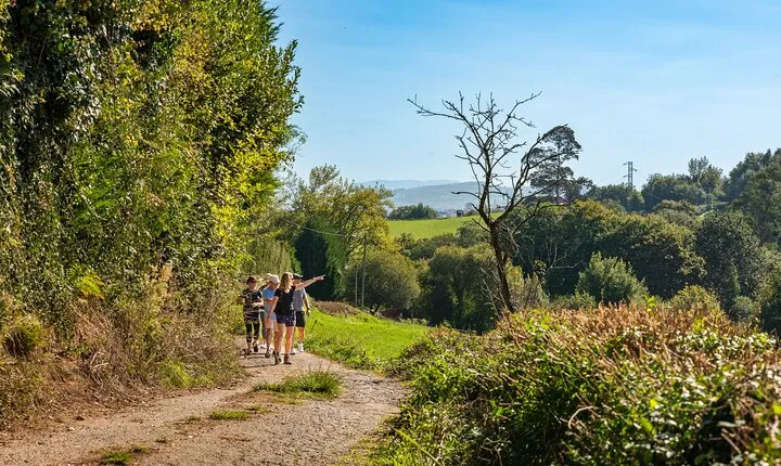 Taste of the Camino de Santiago