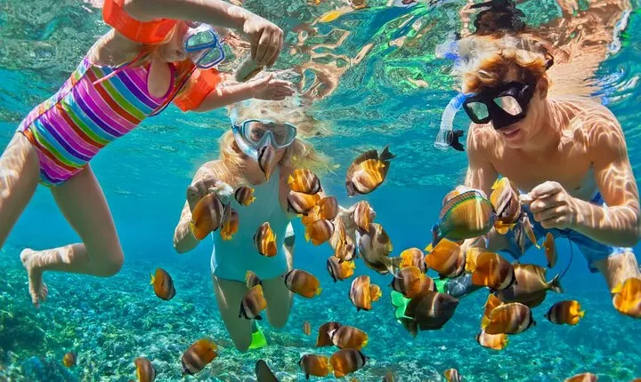 Blue Lagoon Snorkeling - Cave Waterfall - And More - All Included + FREE Wi-Fi