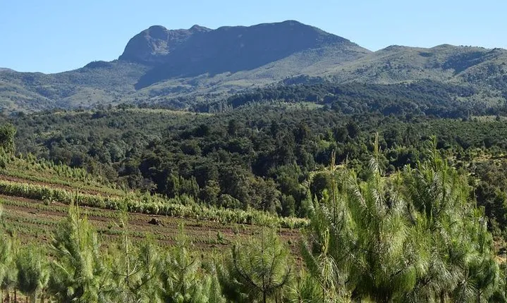 Scenic Day Trip to Aberdares National Park