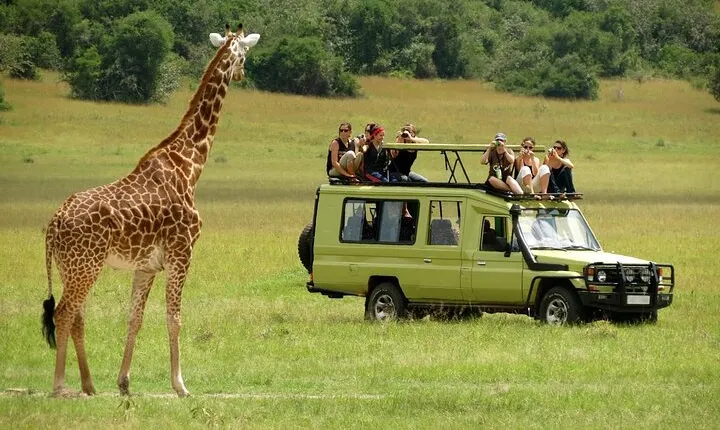 Nairobi National Park and Giraffe Center Guided Day Tour