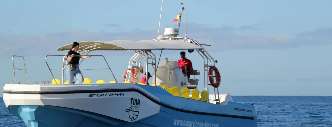La Gomera Whale Watching Cruise from Valle Gran Rey