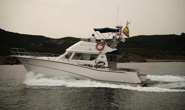 Private Tour with Dolphin Watching in Algeciras Bay