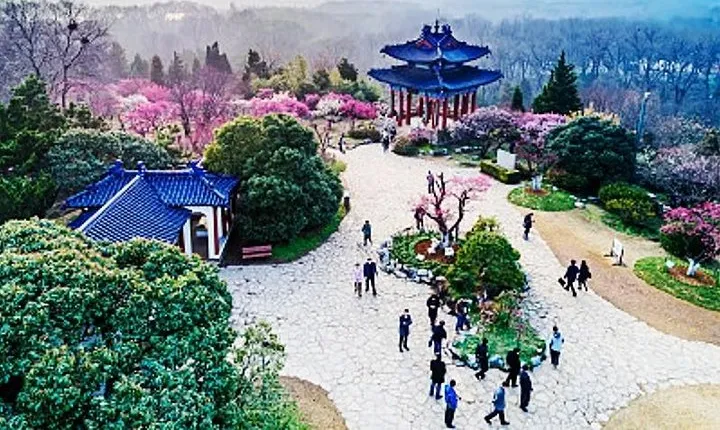 Private In-Depth Day Tour of Nanjing Purple Mountain with Lunch