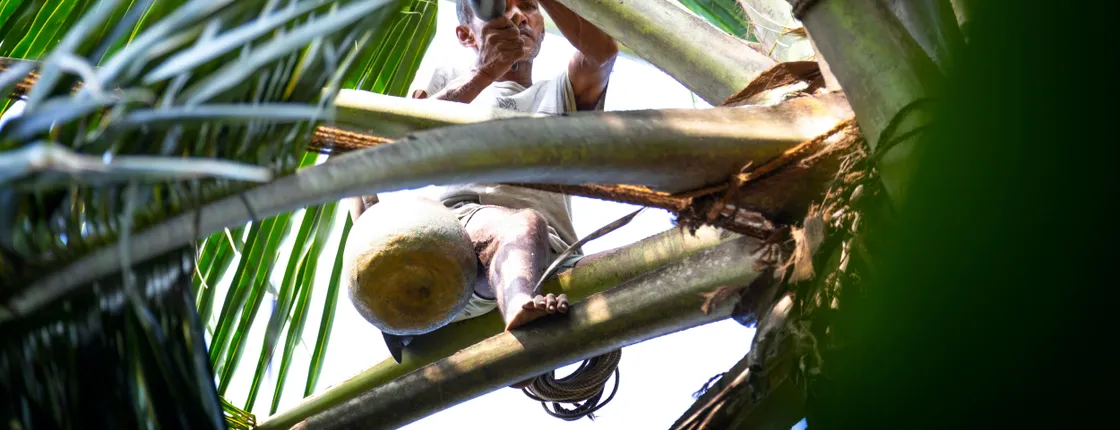 Sri Lankan Authentic Food Experience