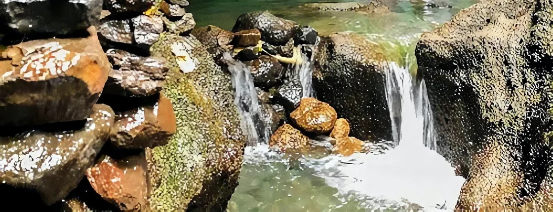 Ubud full-day hidden waterfall tour