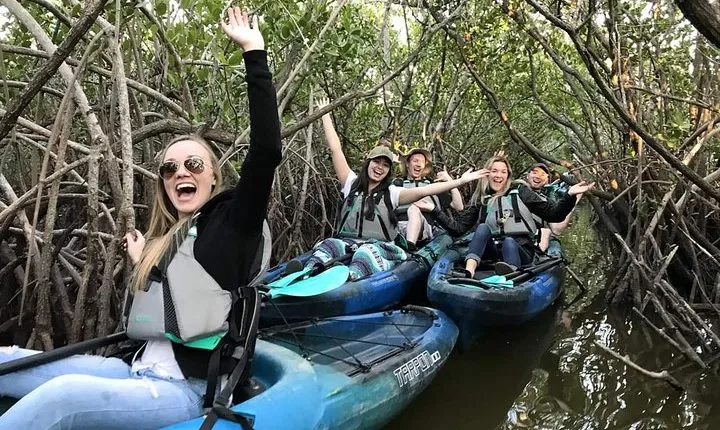 Thousand Island Mangrove Tunnel, Manatee & Dolphin Kayak Tour w/Cocoa Kayaking