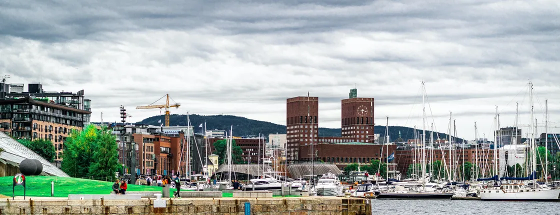 Oslo private walk from coast to city