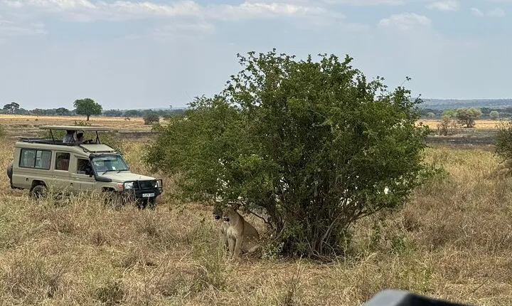 6 days Serengeti fly -in safari & zanzibar holiday