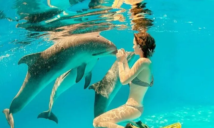 Dolphin House Cruise with water sports and Lunch in Hurghada