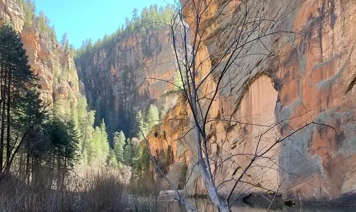 Guided backpacking and hiking trip on Arizona’s Mogollon Rim