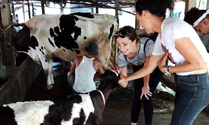 One day be Farmer and Master chef in Saigon