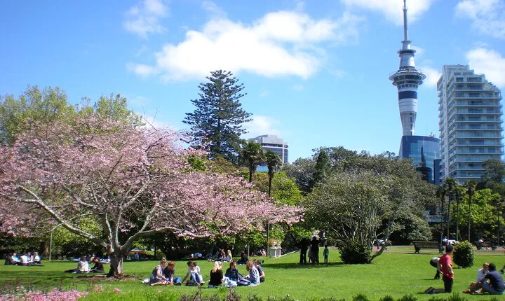 Full Day Private Shore Tour in Auckland from Tauranga Cruise Port