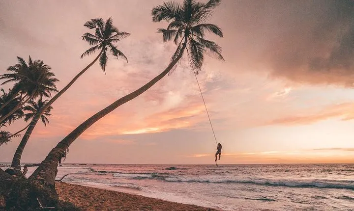 7 Nights Private Tour Of Sri Lanka