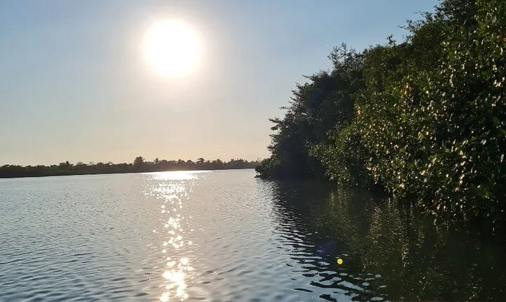 2-Hour Boat Tour in Quepos