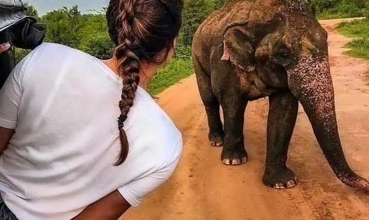 Best Of Sri lanka Tour (06 Days 05 Nights) - Kandy- N.Eliya -Bentota-Colombo